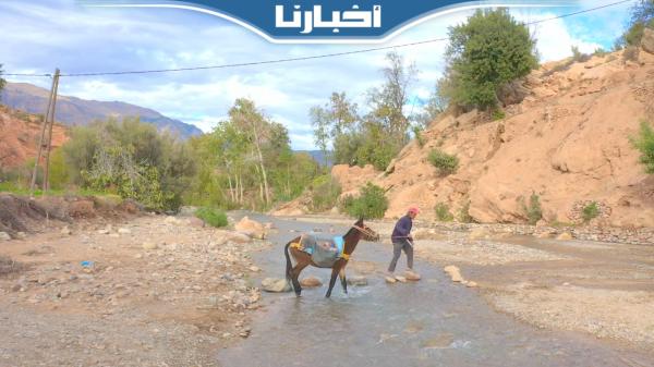 "رُب ضرة نافعة"..زلزال الحوز يفجر ينابيع وعيون مائية عذبة بعدد من الدواوير"